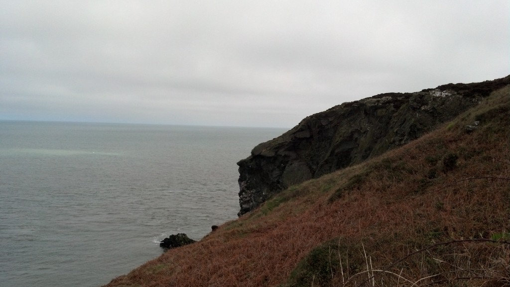 Cliffs of Howth