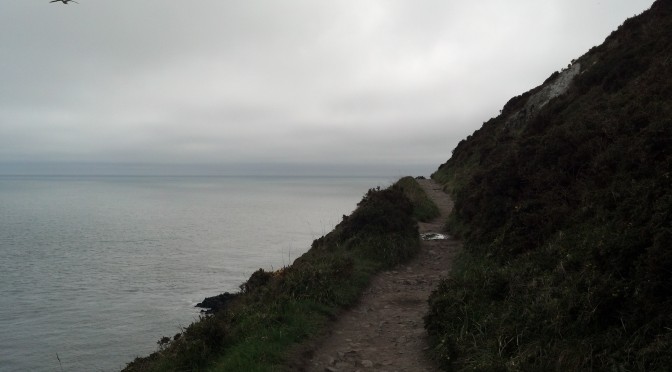 Path on Howth