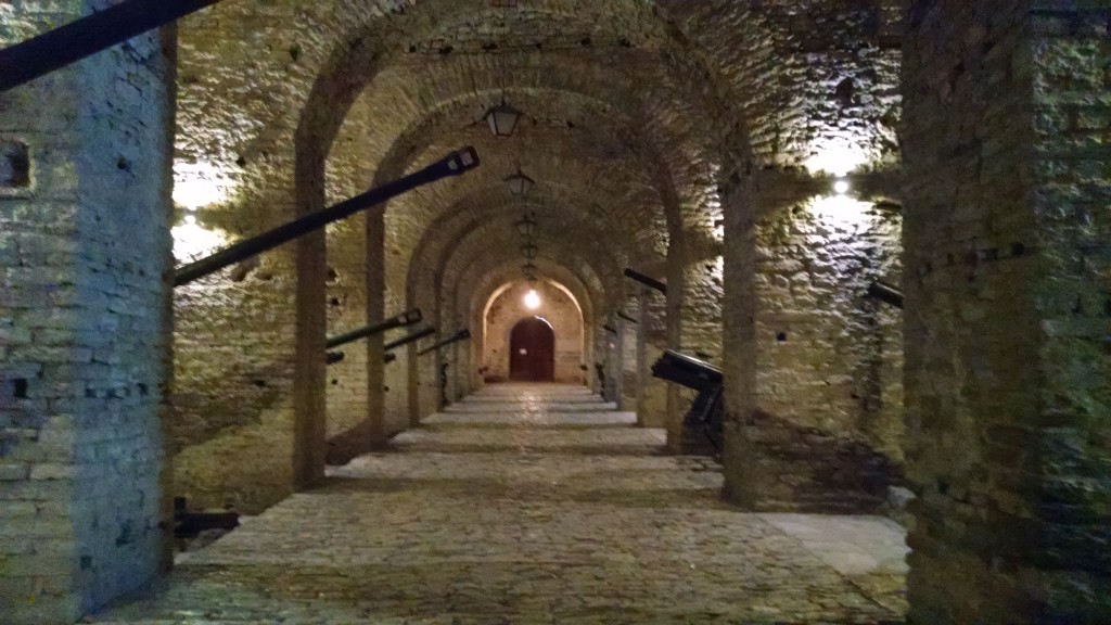 Hall with seized cannons