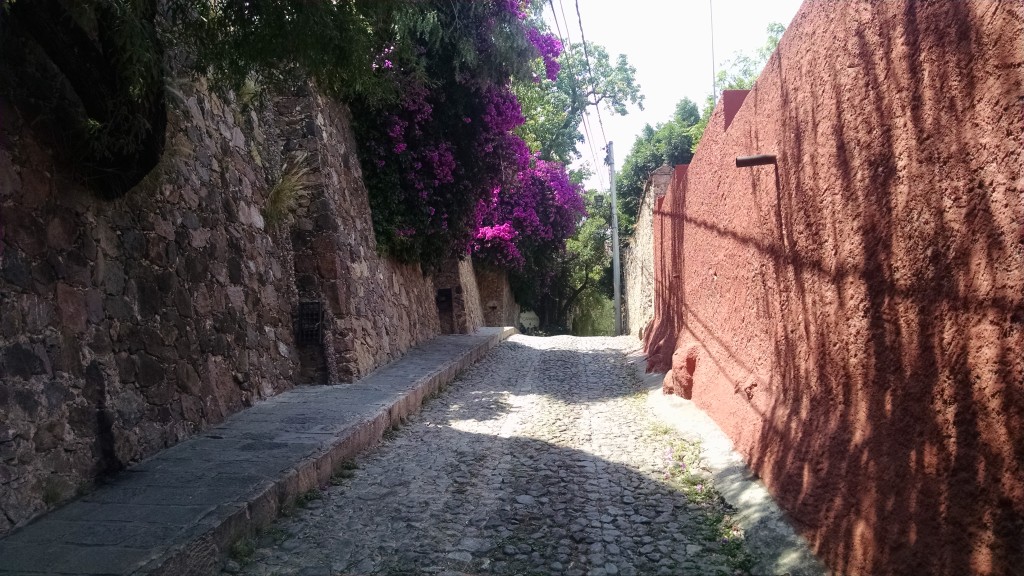 Street in San Miguel de Allende