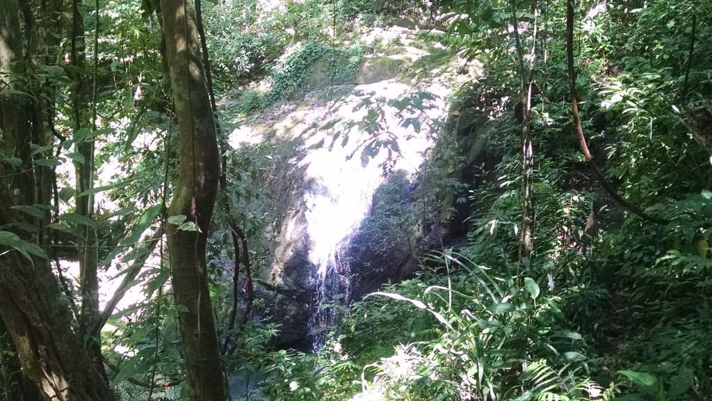 Waterfall in Manuel Antonio