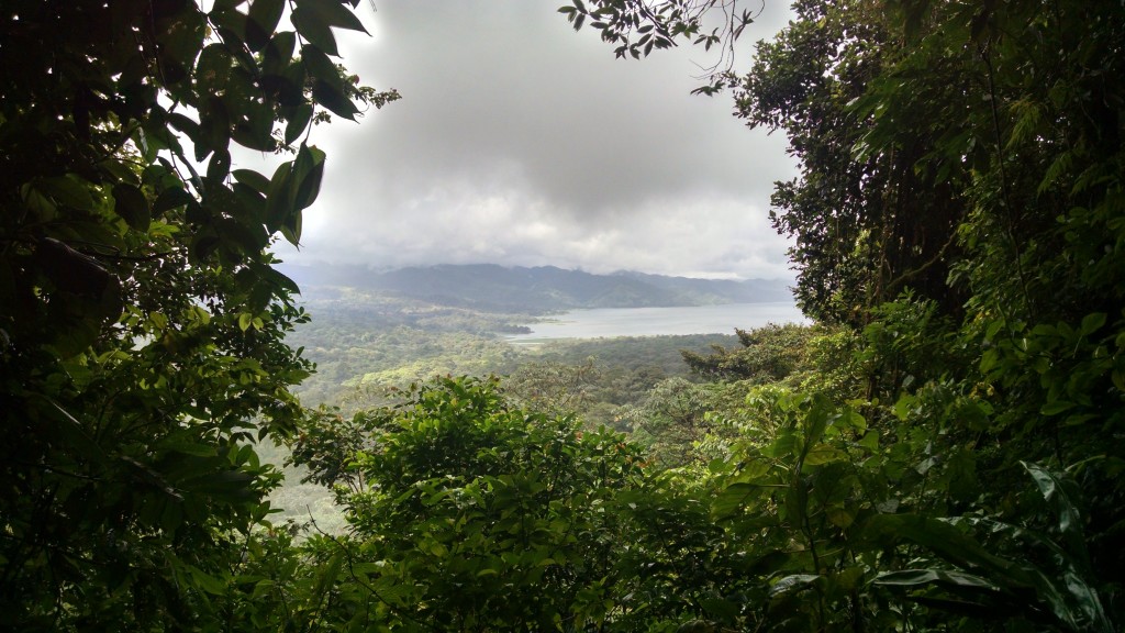 Viewpoint to Cerro Chato