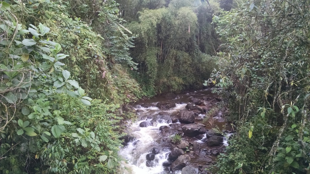 River in Jardín Colombia