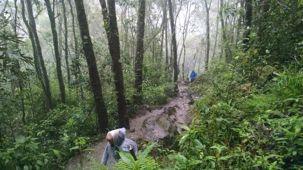 Muddy Trail in Salento