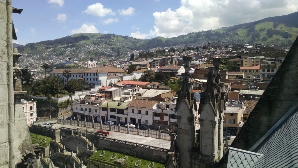 View from Basilica del Voto Nacional