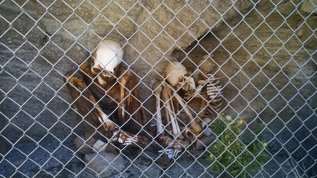 Skeletons near Salar de Uyuni
