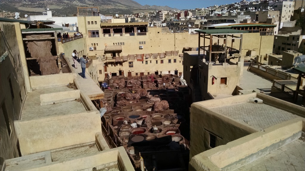 Leather tannery in Fes, Morocco