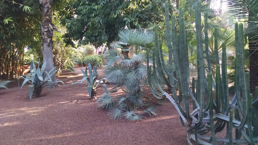 Majorelle Garden in Marrakech